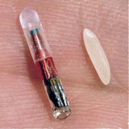 Implantable RFID