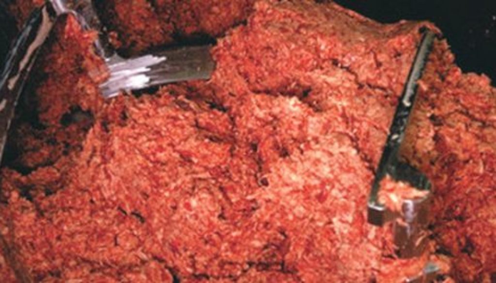 Pink Slime mystery meat