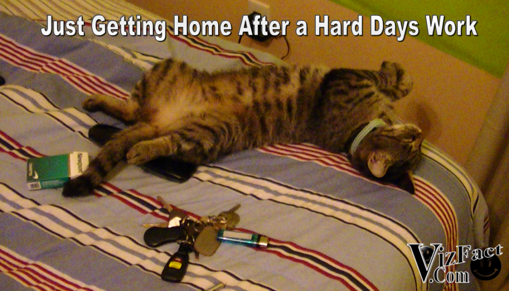 Hard Days Work