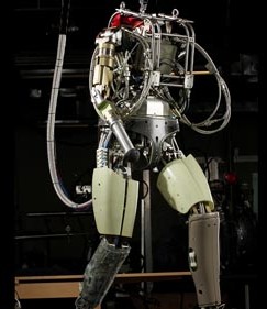 PETMAN - humanoid robots
