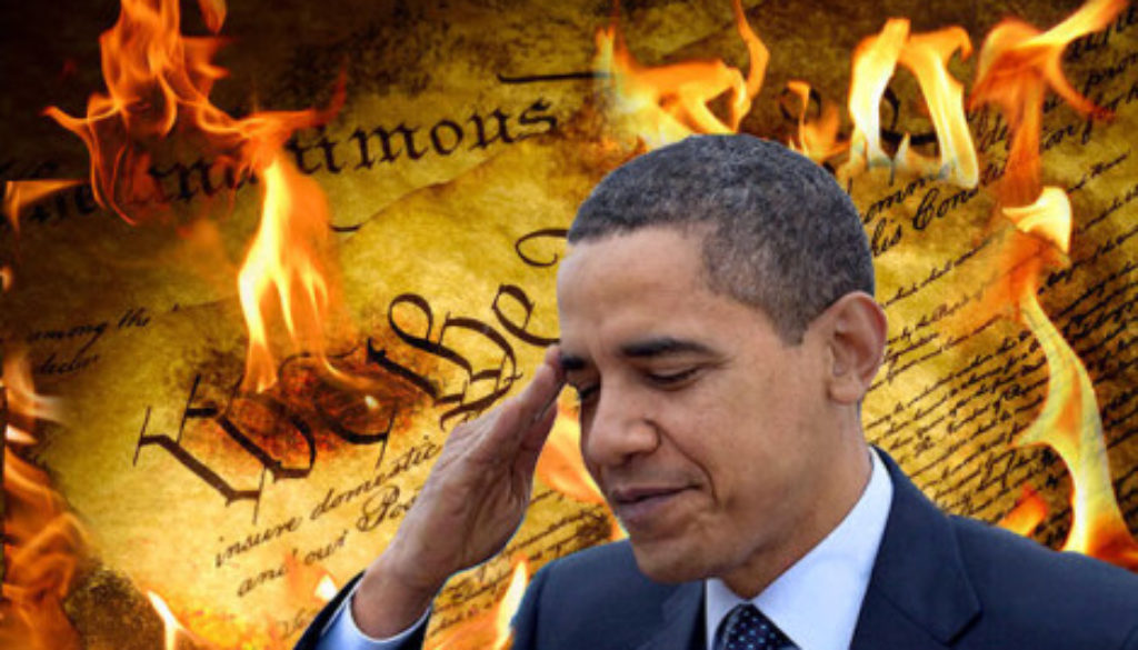 Obama burning Constitution gun control