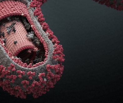 Ebola_Virus