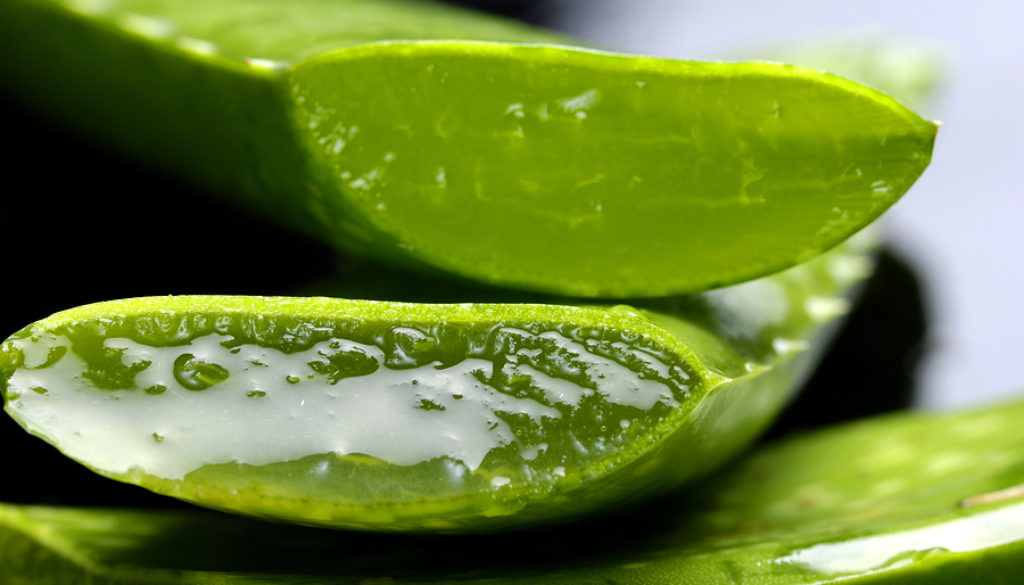 Health Benefits of Aloe Vera